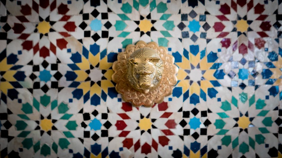 Lion Head Water Outlet