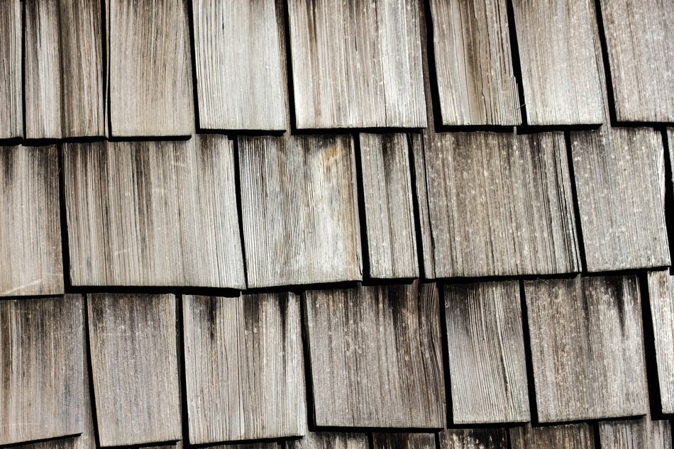 Wood Texture Background Texture