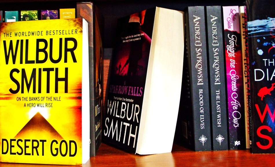 fantasy books on the shelf
