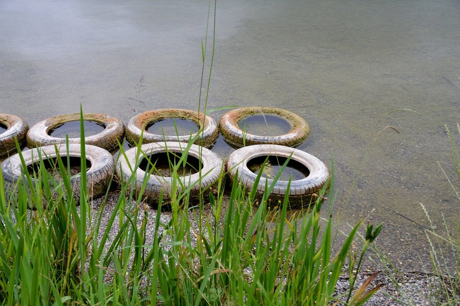 Mature Environment Protection