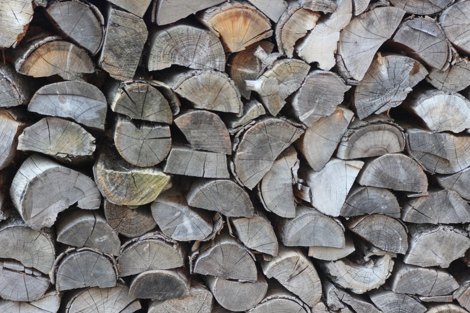 Background Wood Texture