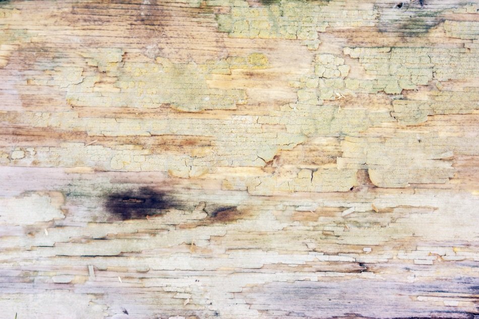 Wood Background Vintage