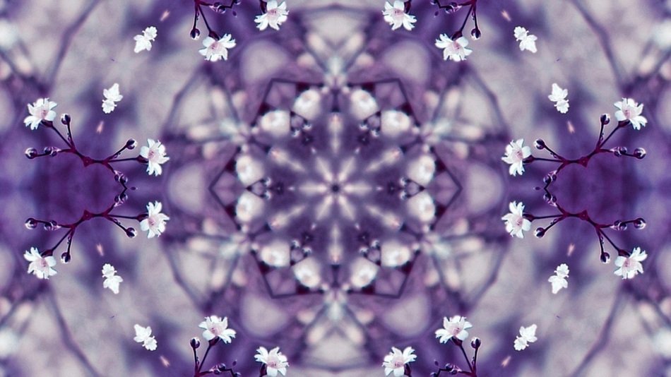 purple background with patterns of flowers