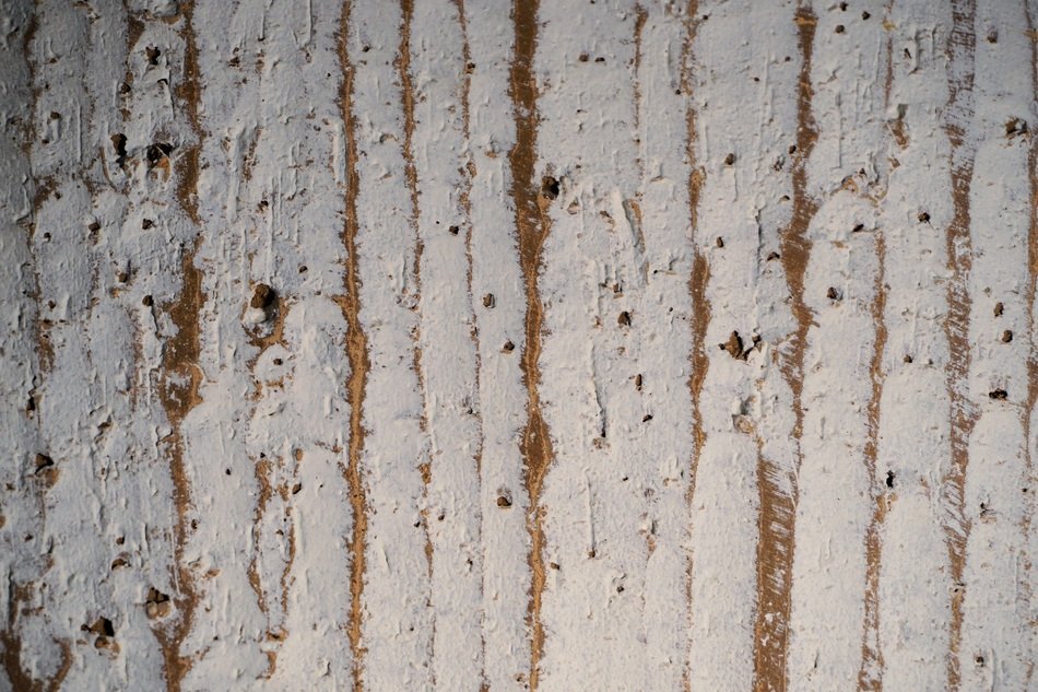 plaster on the wooden wall
