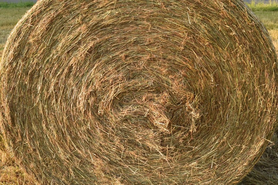 Hay Hay Bales Agriculture