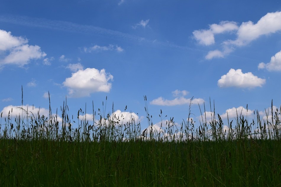 Background Horizon Sky Clouds