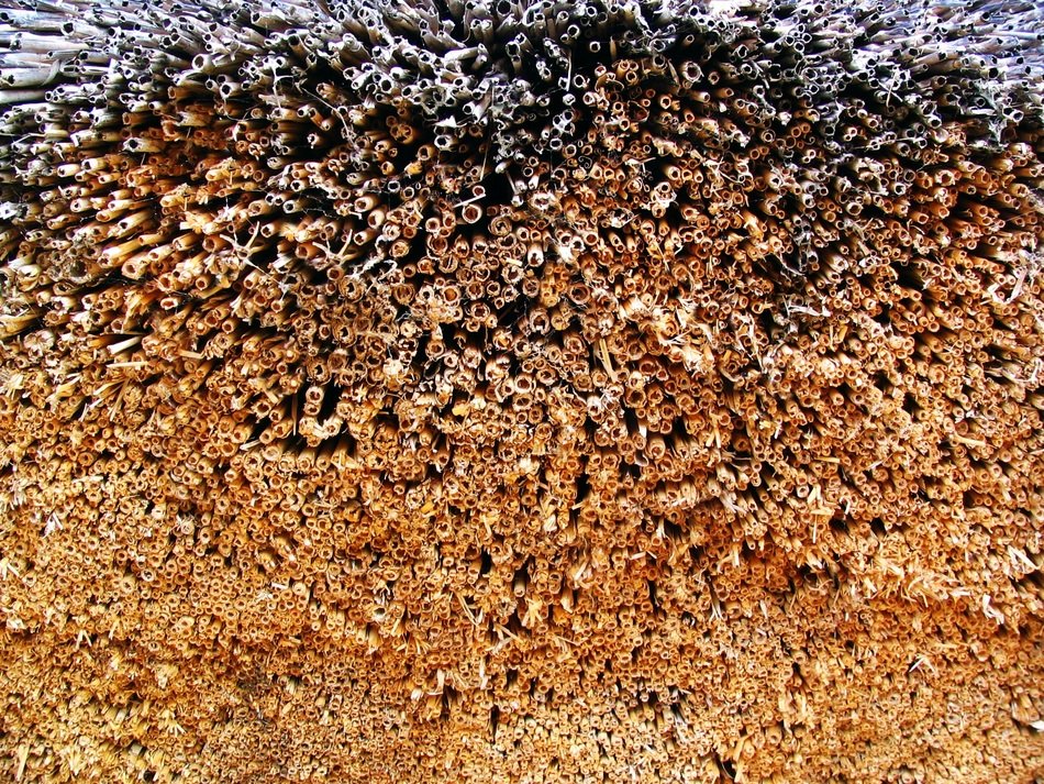 Straw Invoice Texture