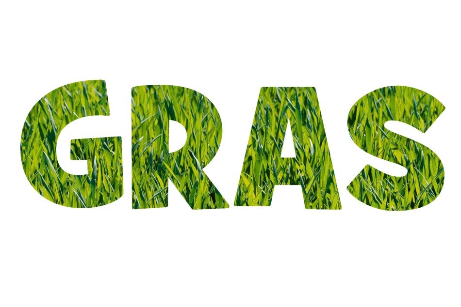 Font Grass Texture Meadow Green
