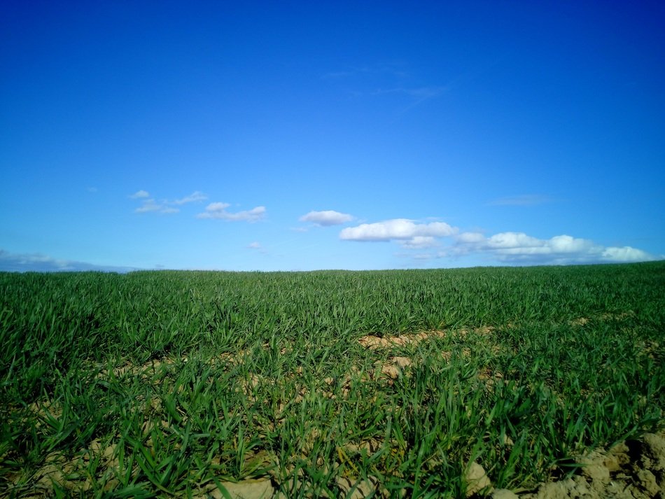 Field Landscape La Rioja Nature