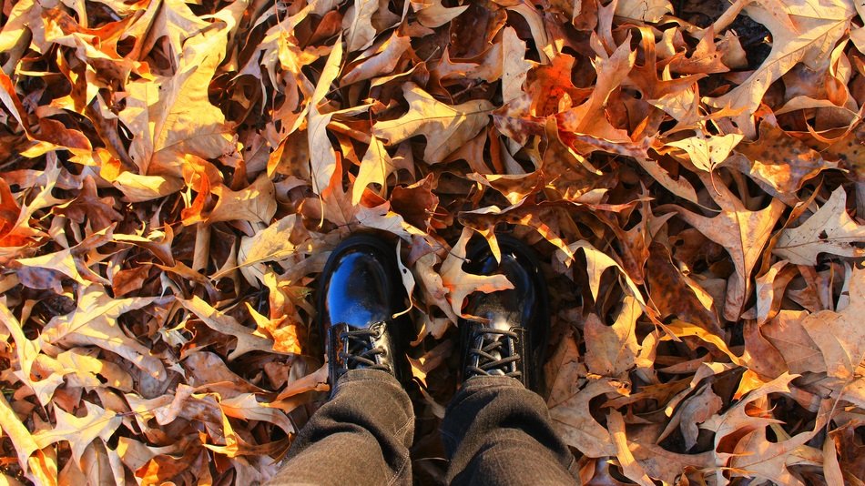 Autumn Season Cold Yellow