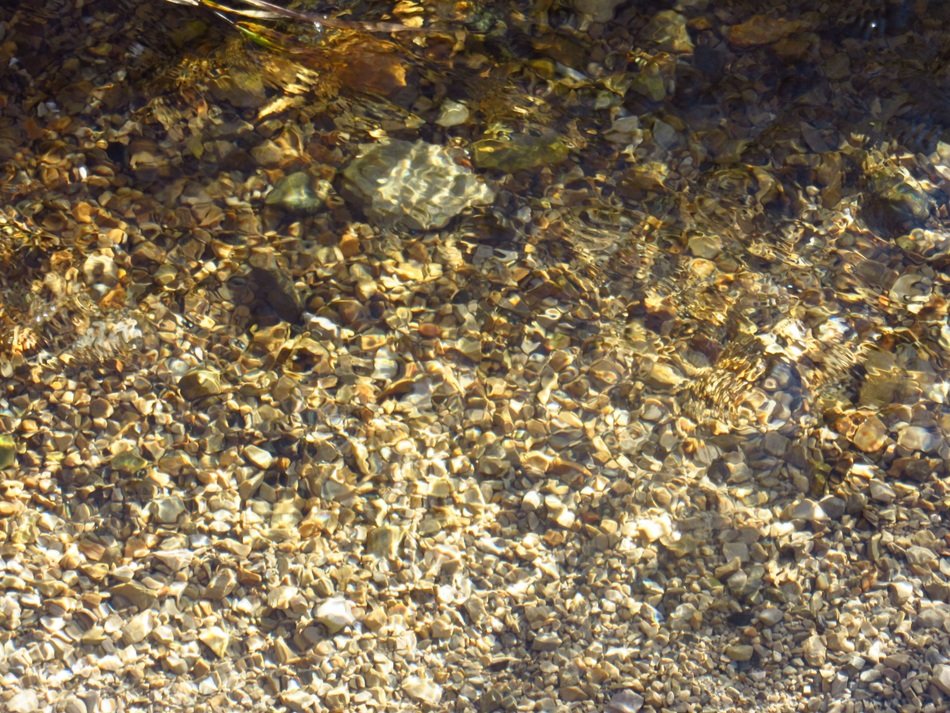 Pebble Bach Stream Bed Water