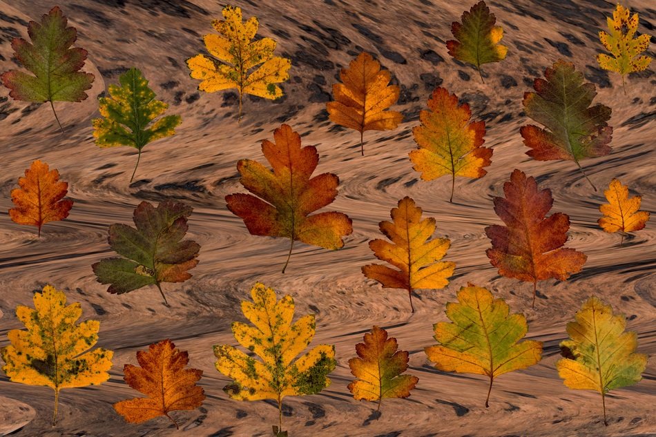 autumn foliage composition