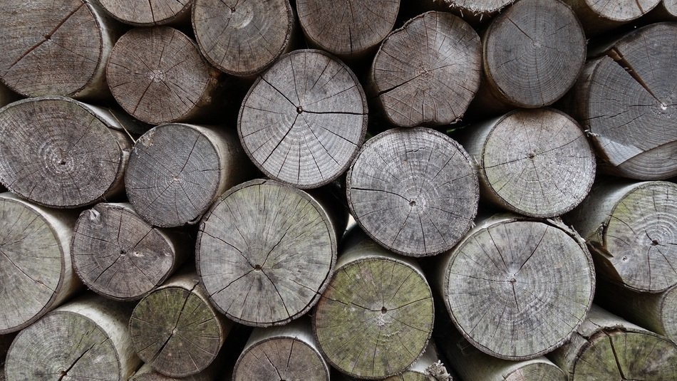Old Wood Stack Annual Rings
