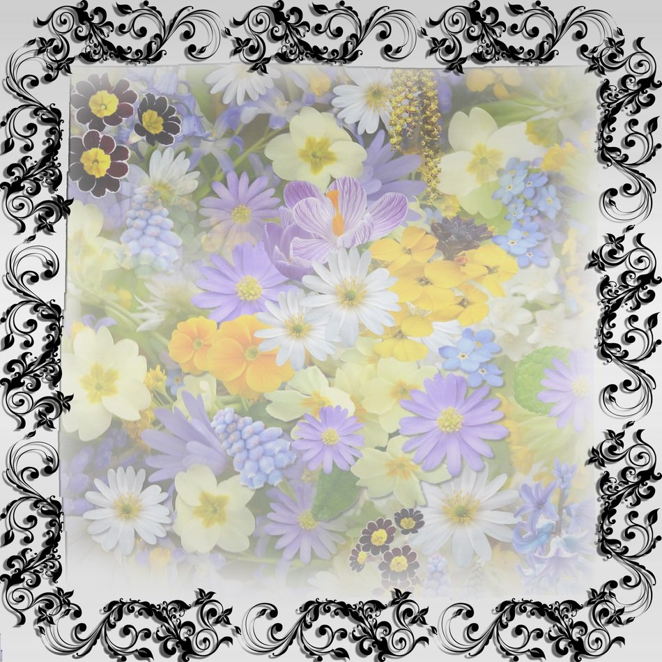 Frame Template Flowers