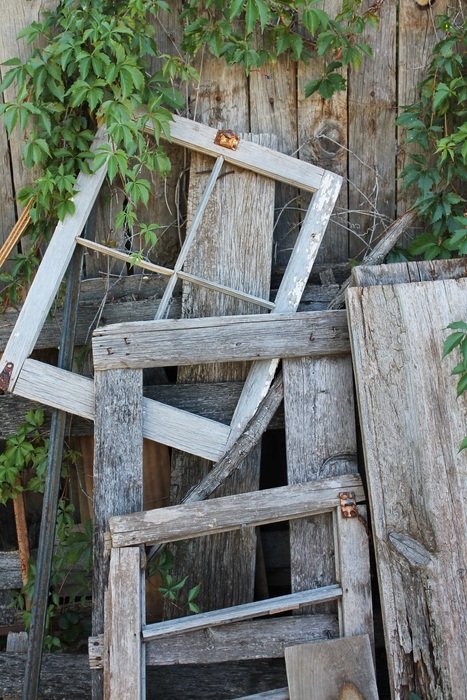 Wooden Fence Vine Wooden Texture