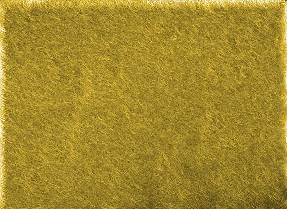 Fur Texture Background Area