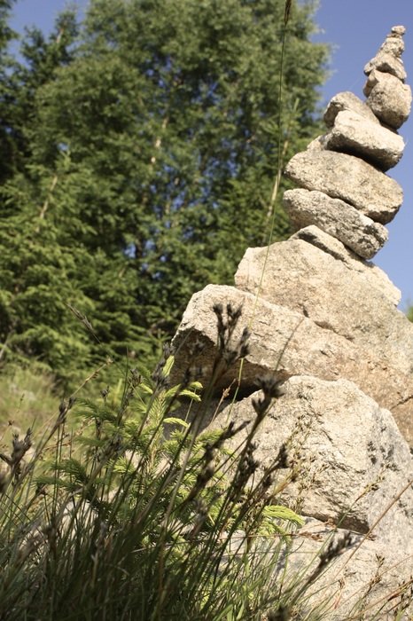 Stones Forest Stone Pile