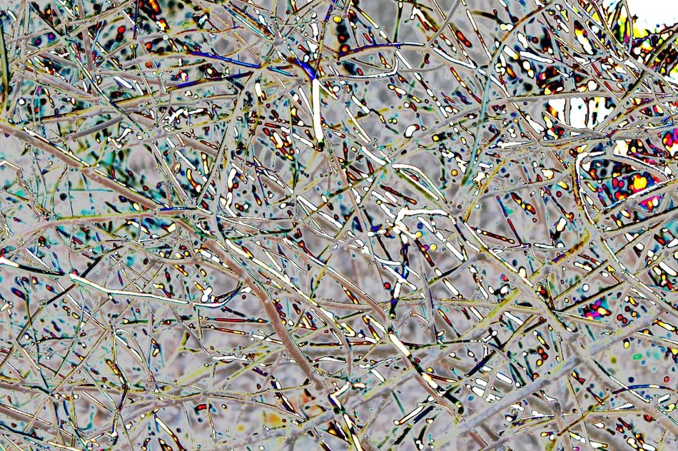 Background Texture Digital Art