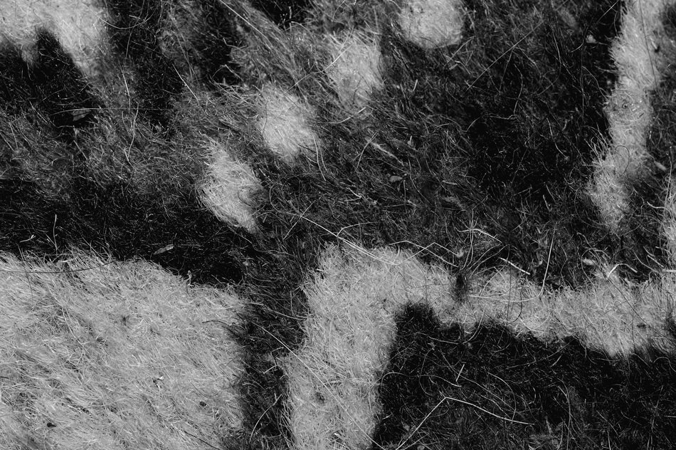 Blanket Floor Pattern Graphics