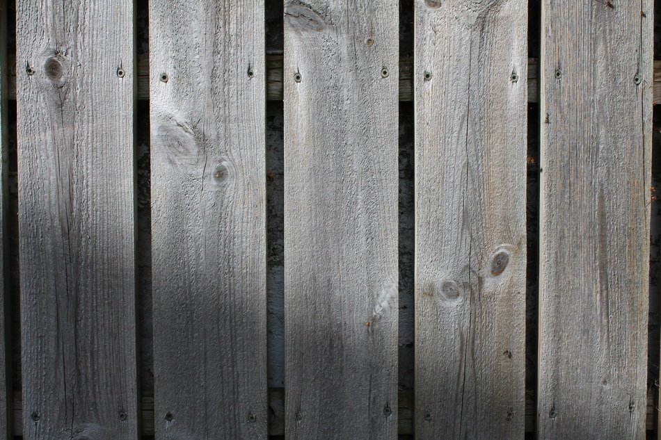 Wood Wall Wood Background