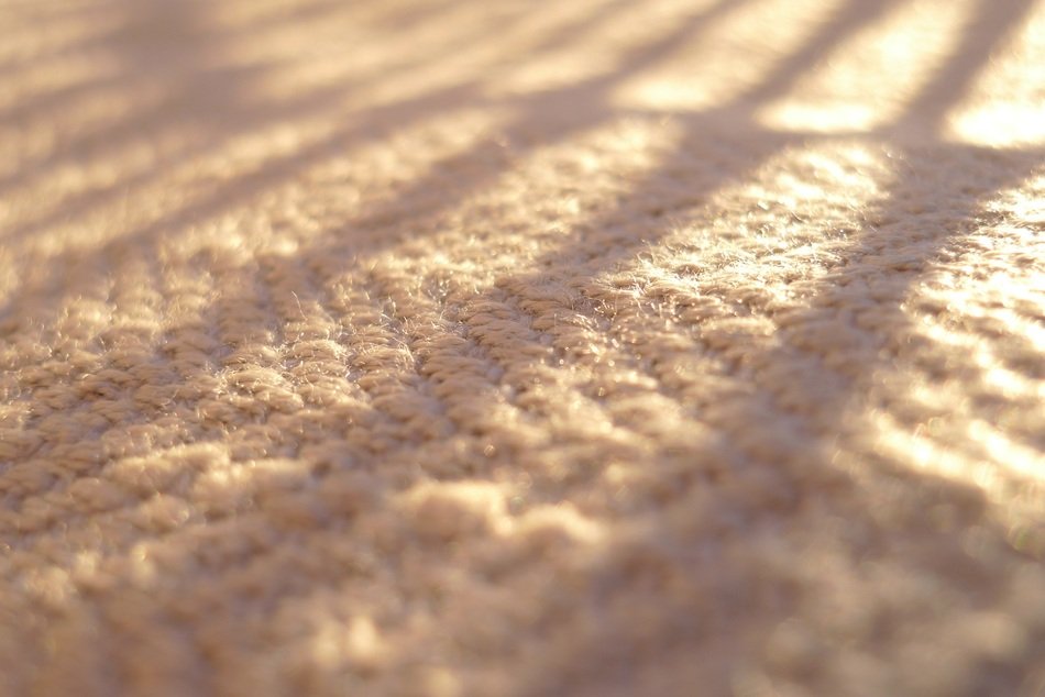 sunlight on the carpet