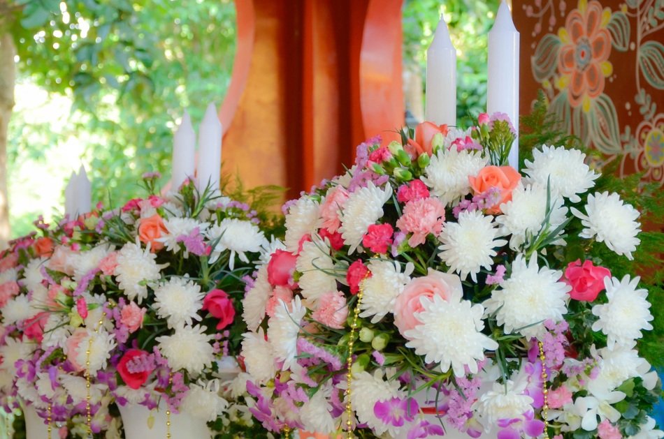 Spring Nature Flower Garden