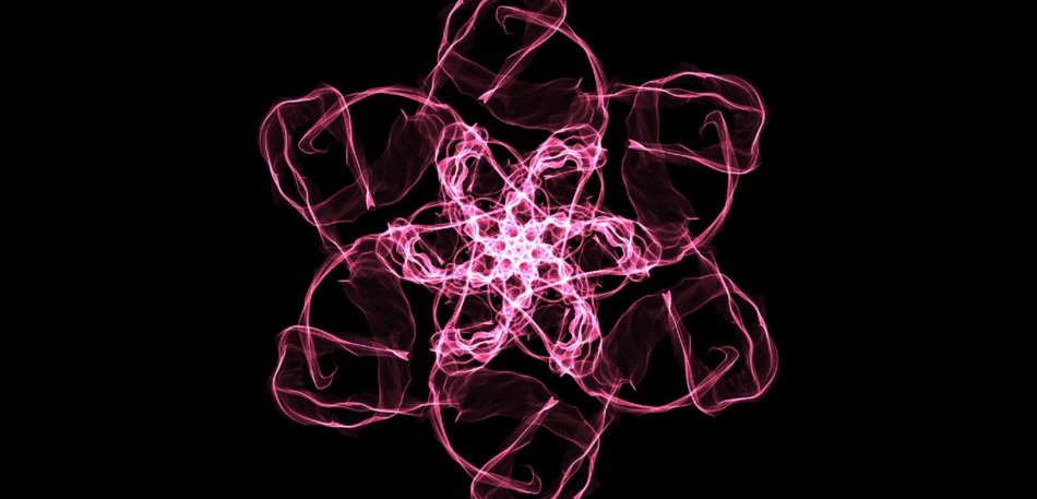 Background Pink Flower Blossom