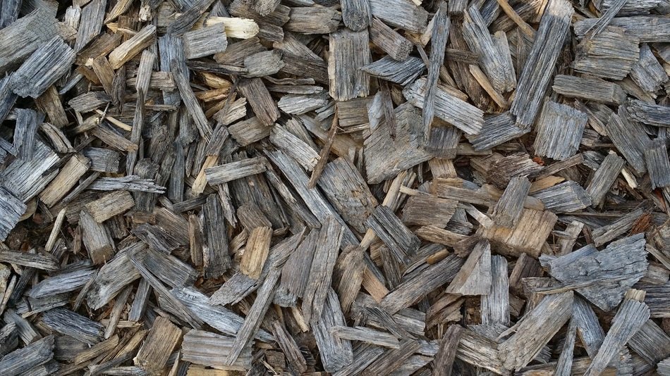 Tree Wood Chips Wood Background