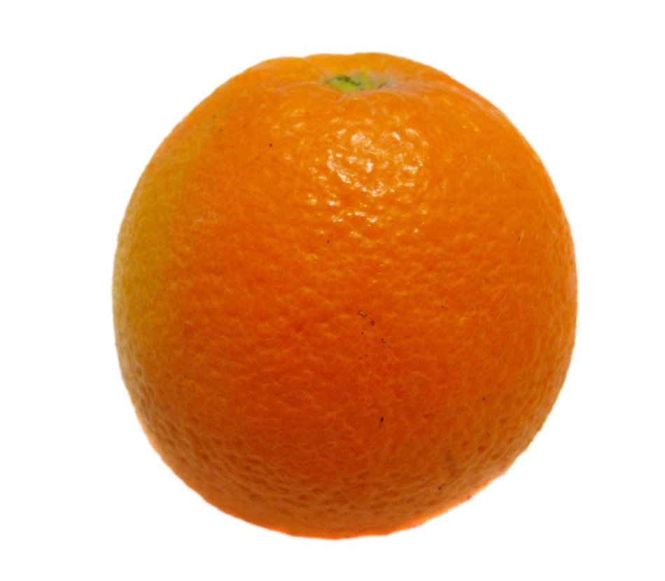 Orange Isolated White Background