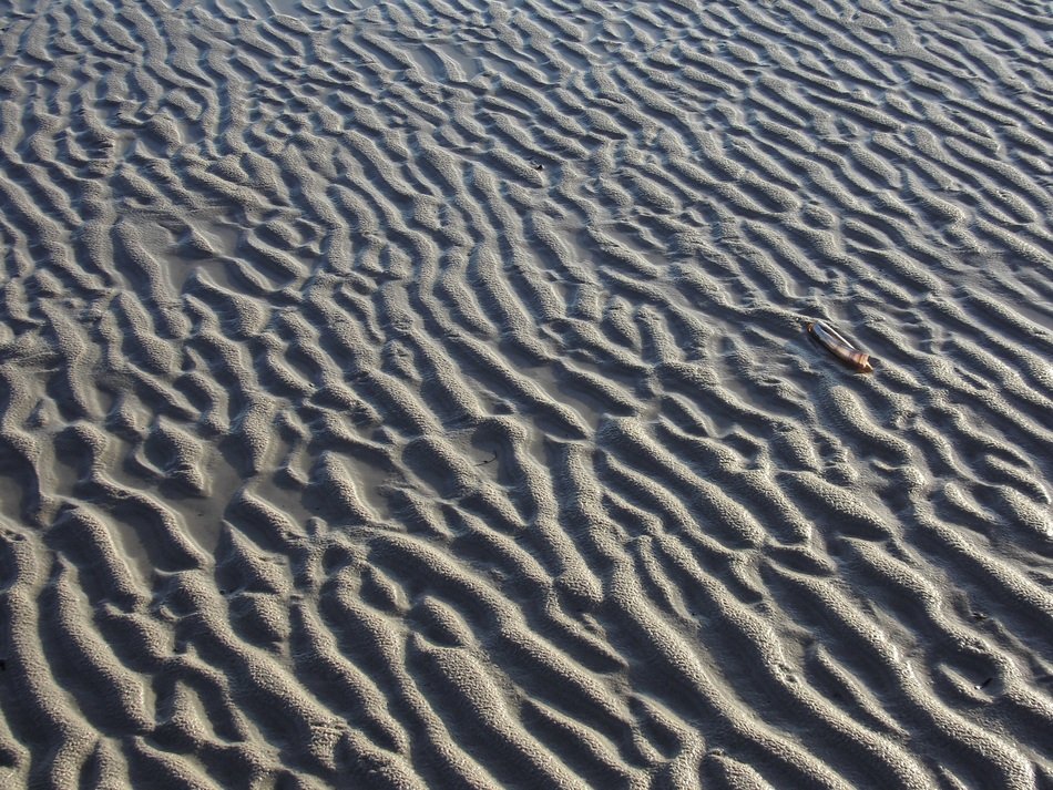 Amrum Kniepsand Ebb Wave Pattern