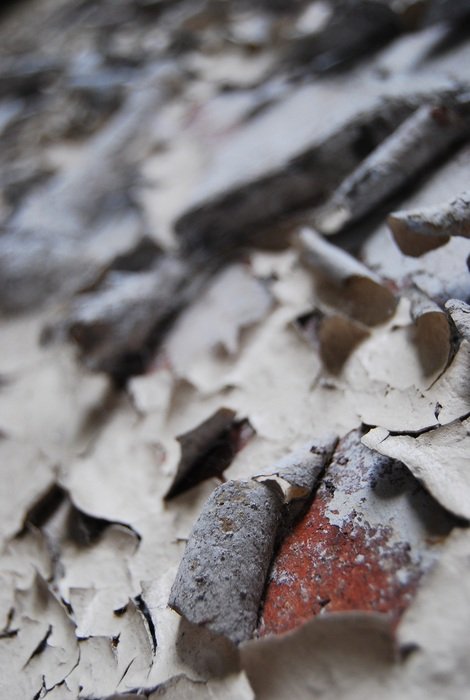 Paint Peeling Curled Weathered