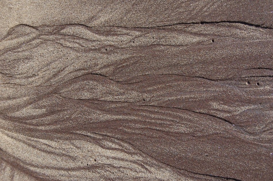 Background Texture Nature