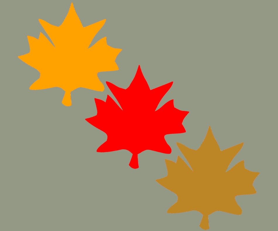 Fall Leaves Leaves