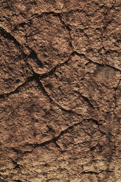 Texture Land Cracked