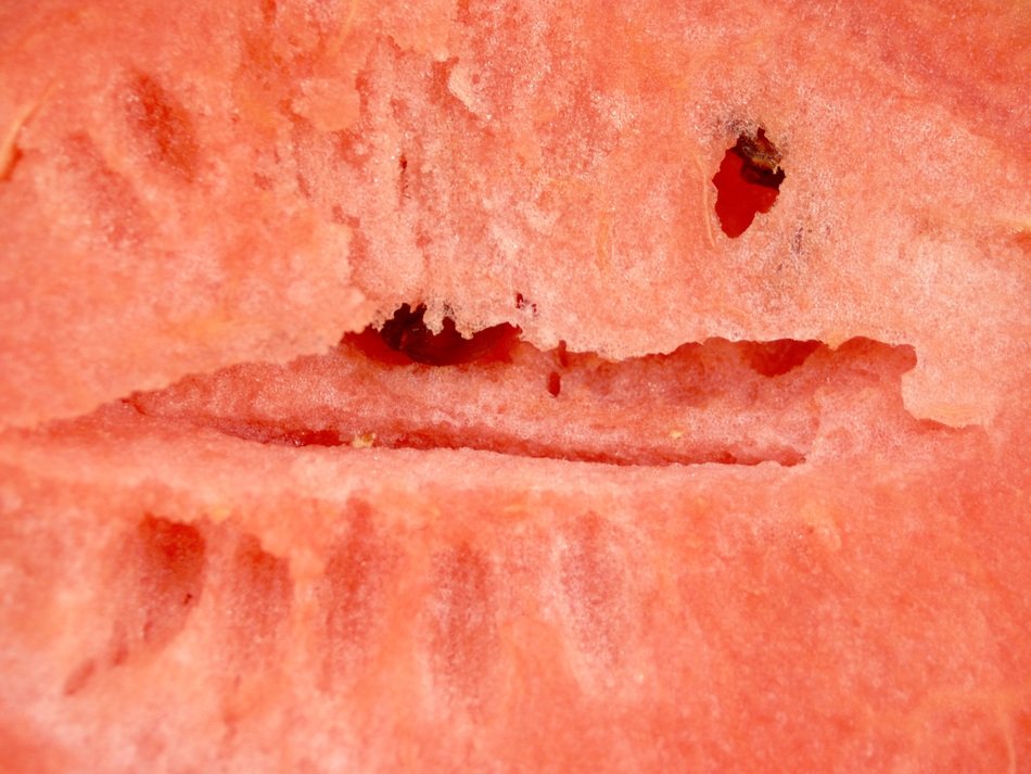crack in the middle of the watermelon