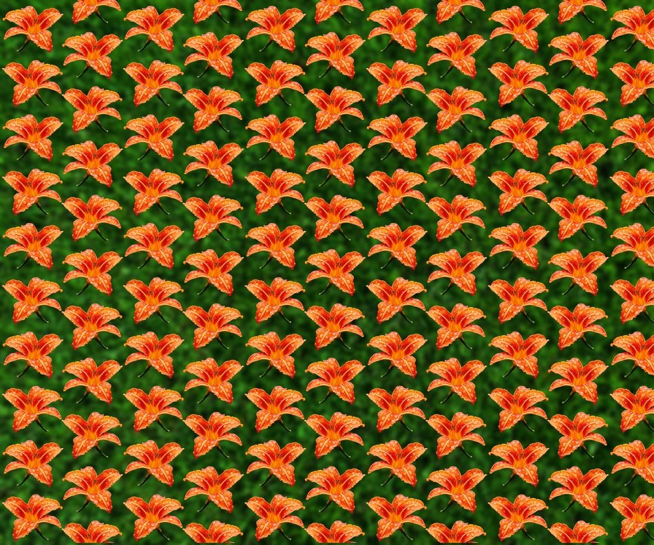 Background Wallpaper Flowers
