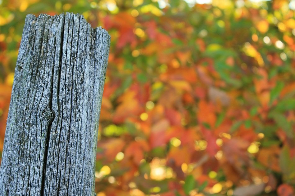 Fence Post Weathered Worn Split