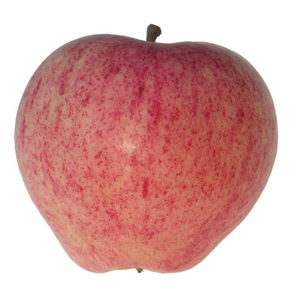 Apple Red Taustaton Tasty