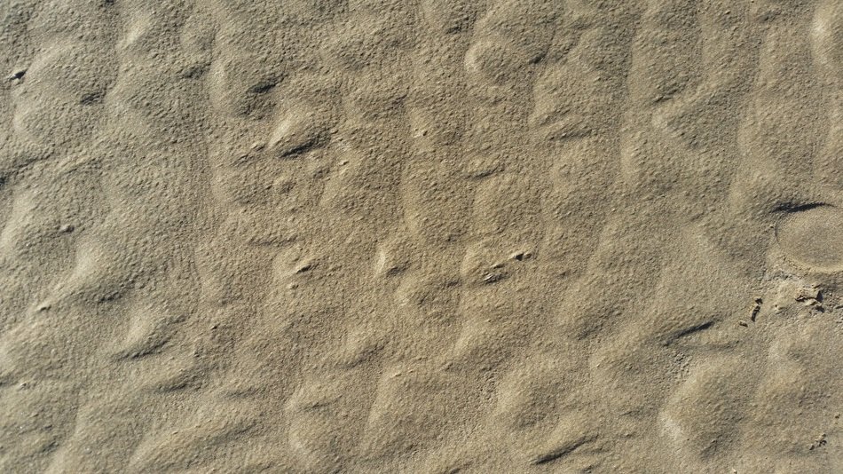 Sand Beach Background Dune