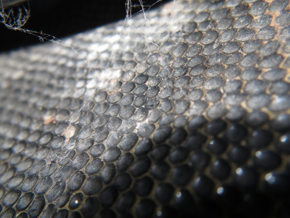 Sheet Texture Pattern Dirty