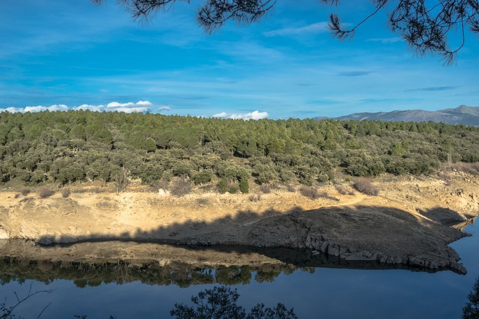 landscape near the river