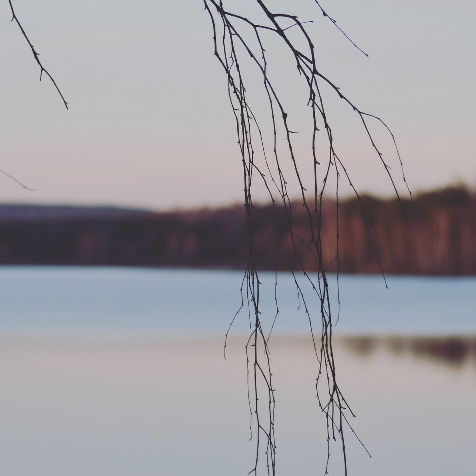 Bavaria Lake Seascape