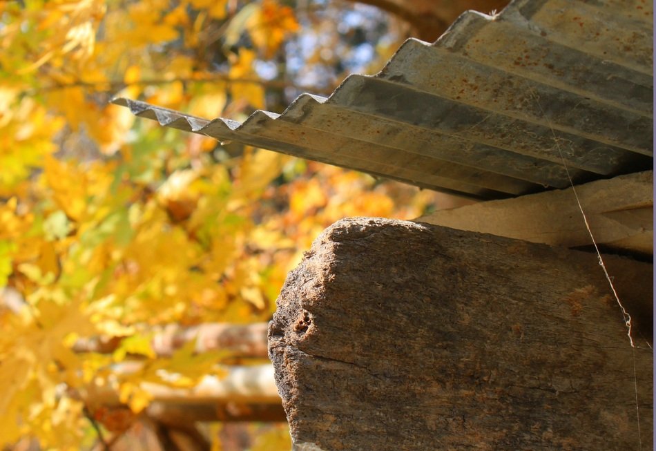 Texture Autumn Fall Design