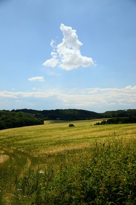 Field Cloud Landscape View