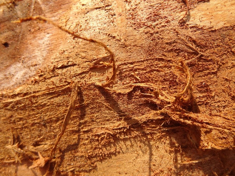 Texture 4 Hires Background