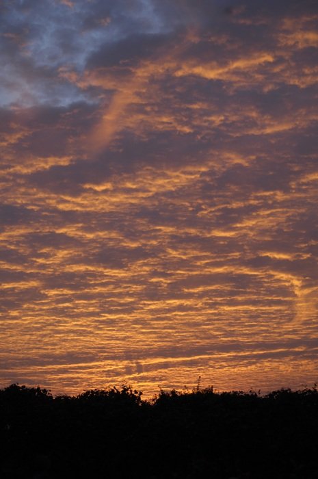 Sky Atmosphere Sunset Evening