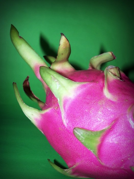 pink fruit on green background