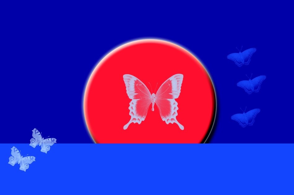 Blue Background Butterflies Frame