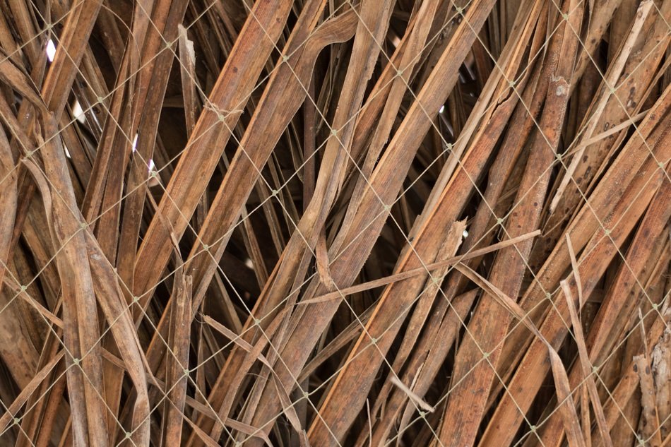 Texture Leaves Wiring Wire