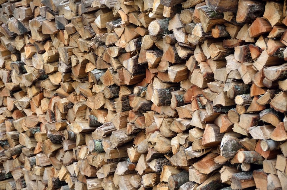 Background Backdrop Wood Nature